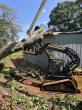Spring Storm Season in Hickory: Hollar Brothers Urges Homeowners to Assess Tree Safety