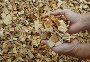 Wood Pulp Industry Overview