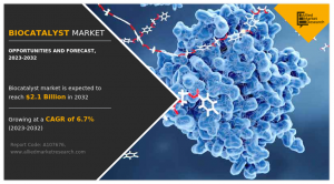 Biocatalyst Market