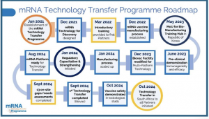 mRNA Technology Transfer Programme Building Sustainable Vaccine Manufacturing Ecosystems in LMICs