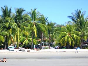 trips to costa rica packages - 4