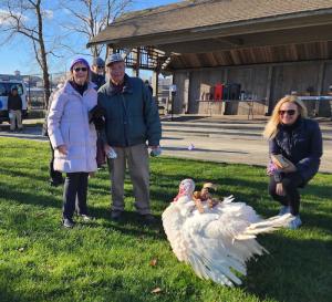 ColdTurkeyPlungeTurkey
