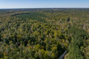 3,300' +/- of frontage on Lee's Mill Rd. & 2,000' +/- of frontage on Sheltons Rd. (For GPS purposes ONLY, the property is adjacent to 2784 Lee's Mill Rd.).  Property is completely wooded w/select cut done in 2001.  Property borders the Middle Meherrin River