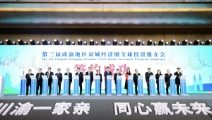chengyu11