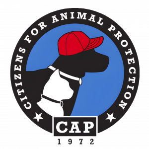 CAP logo