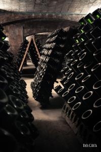 D.O. Cava Wine Cellars
