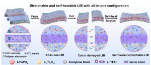 Schematic illustration of the stretchable and self-healable lithium-ion battery.