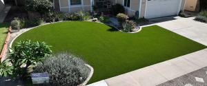 artificial lawn