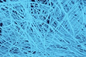 Bio-based Chemical Fibres