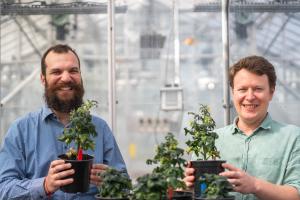 Nick Kral and Will Pelton holding plant pots containing plants grown using precision breeding techniques
