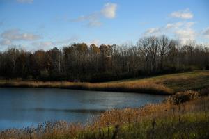 Busseron Creek Lake View