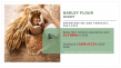 Barley Flour Market Size worth USD 2.4 Billion Globally, by 2032 at a CAGR of 5.5%