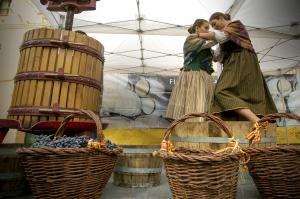 Fiesta de la Vendimia-Campo de Borja