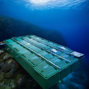 Battery Pack for Marine Hybrid & Full Electric Propulsion Market