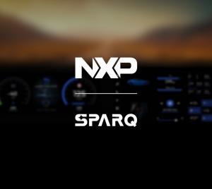 NP logos