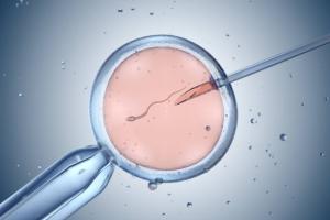 Global In Vitro Fertilization Market Size