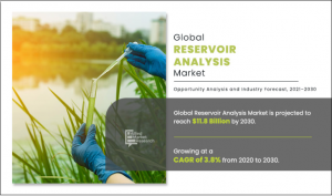 Reservoir Analysis Market Scope