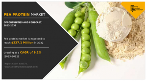 Pea Protein Market Size 3