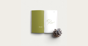 An open wellness journal featuring calming hues, biophilic design with a nature-inspired branch illustration, and the word 'Renew,' accompanied by a pine cone for a natural, soothing aesthetic.