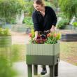 Vego Garden’s EZCube Planter Wins 2025 iF Design Award as Brand Expands Self-Watering Planter Series