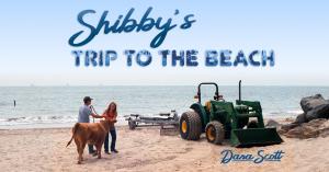 Shibby is pushed towards the tractor on the beach.