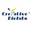 New Comprehensive Rodent Models Developed by Creative Biolabs Aim to Improve Disease Research