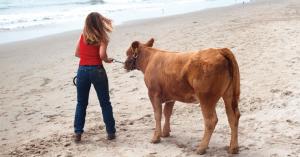 Shibby was very cautious about the waves on the beach.