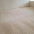 Allergy Season Survival Guide Offers Research-Based Recommendations for Carpet and Floor Cleaning