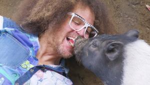 Redfoo plays with one of his rescued pigs.