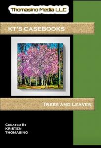 KT's Casebooks by Kristen Thomasino