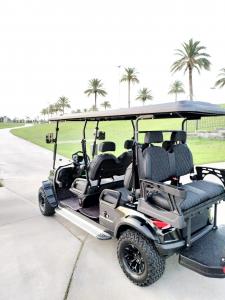 Black Off Road Golf Cart with Palm Trees in the Background