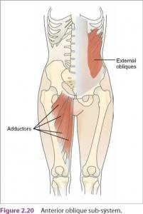 Anterior Oblique Subsystem - https://brookbushinstitute.com/courses/anterior-oblique-subsystem-integration