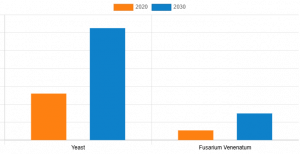 Fungal Protein Market Graph