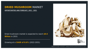 Dried Mushroom Market growth