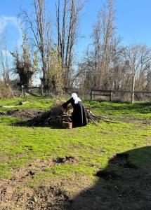 one sister in black, image from far away, she is at a wood pile gathering wood for the fire circle