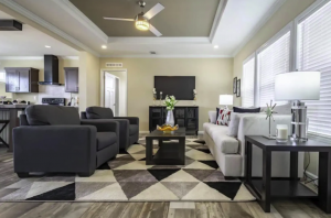 Living room in a mobile home for sale in Texas