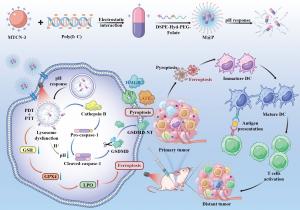 Illustration of multifunctional nanoplatforms M@P inducing cancer cells pyroptosis and ferroptosis for cancer photoimmunotherapy.