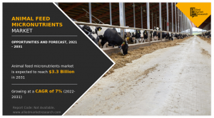 Animal Feed Micronutrients Market growth 3