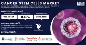 Cancer Stem Cells Market