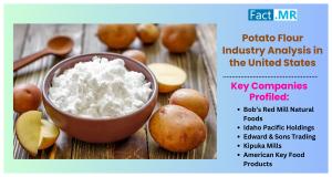 potato flour industry in the United States