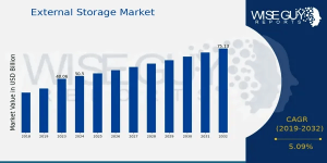 External Storage Market Growth