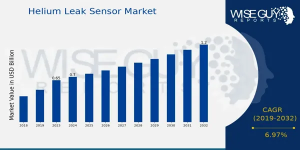 Helium Leak Sensor Market Growth