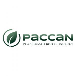 Paccan