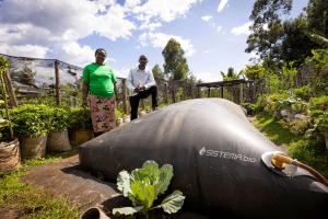 Empowering Farmers in Africa