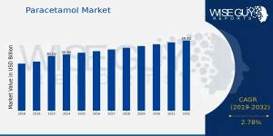 Paracetamol Market