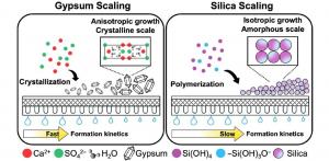 Contrasting Mechanisms of Gypsum and Silica Scaling in Desalination.