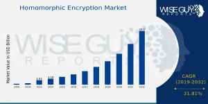 Homomorphic Encryption Market Growth