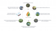 Facet Power, Kalulu Resources, & ReinAgri Announce ReinPower Climate-Smart Poultry Joint Venture
