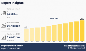 Polyacrylic Acid Market Overview