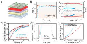 Figure 2 | Device structure, performance, and carrier dynamics analysis.